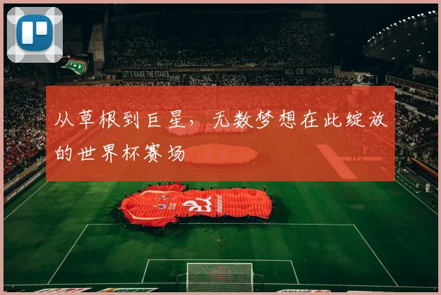 从草根到巨星，无数梦想在此绽放的世界杯赛场