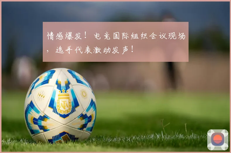情感爆发！电竞国际组织会议现场，选手代表激动发声！